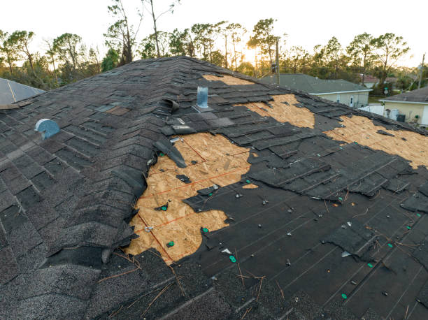 Roof Moss and Algae Removal in Stanford, KY